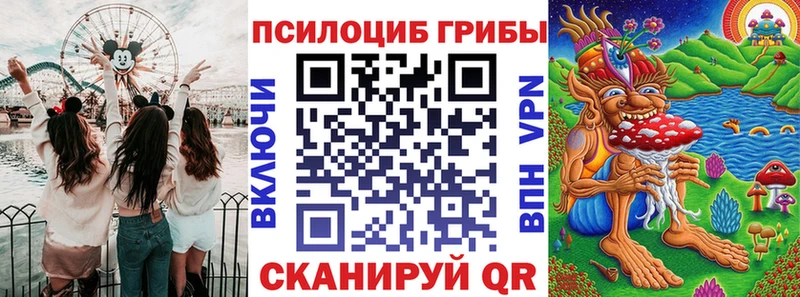 Купить закладки Озёрск Галлюциногенные грибы Psilocybe
